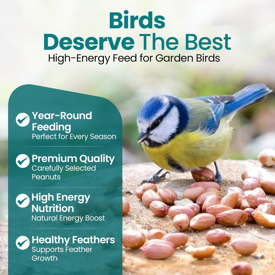 Natural & Energy-Rich Whole Peanuts for Wild Birds