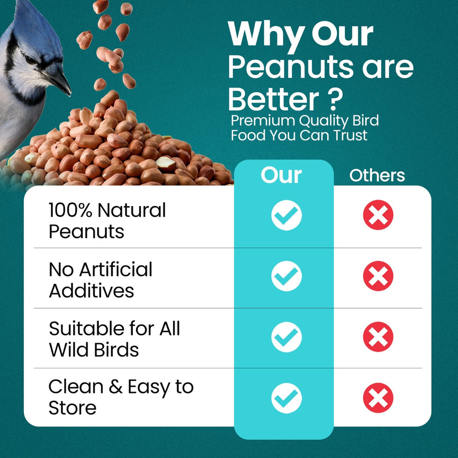 Natural & Energy-Rich Whole Peanuts for Wild Birds