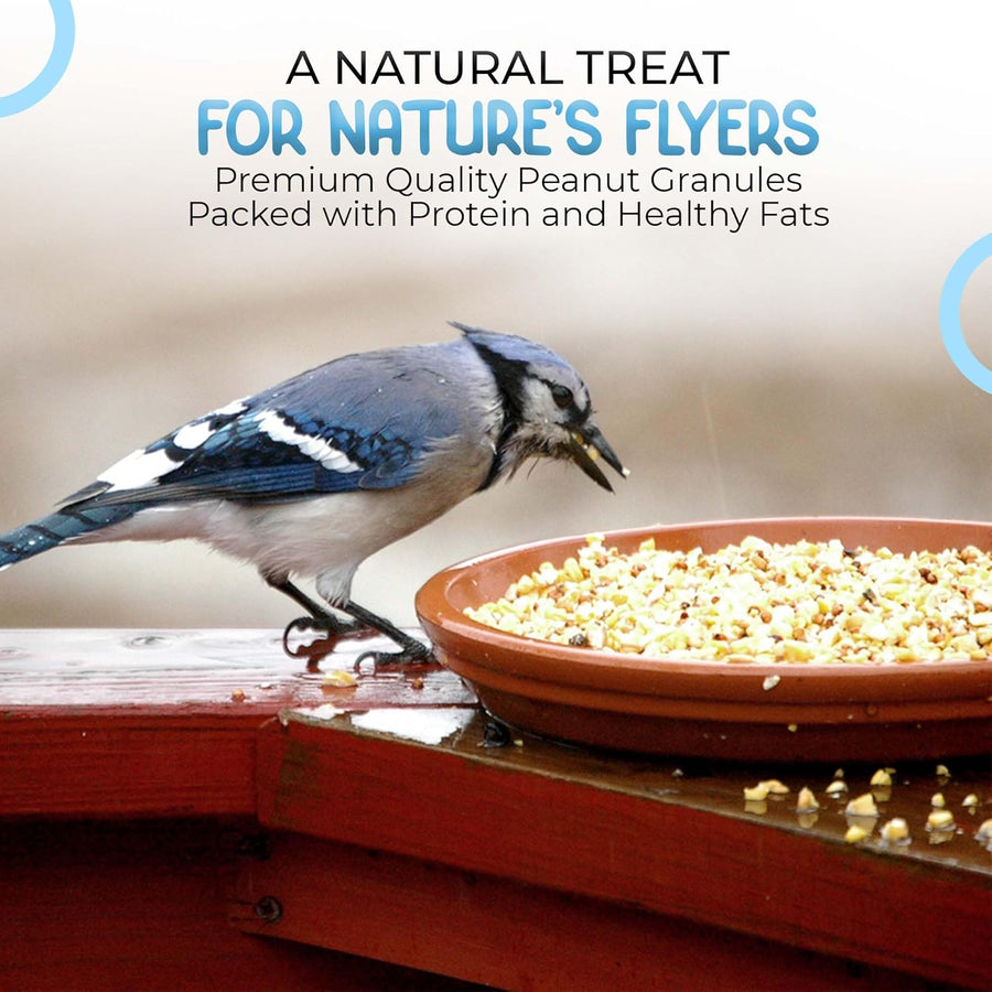 Energy Peanut Granules for Wild Birds