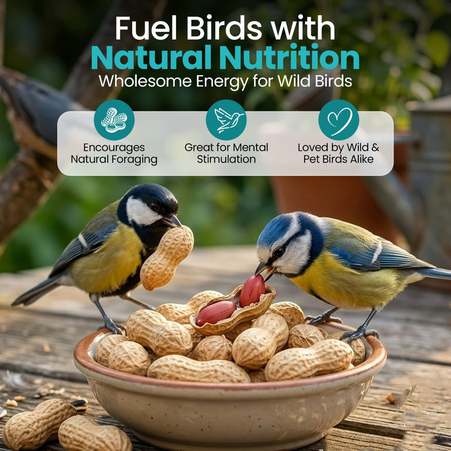 High-Energy Peanuts In Shell For Wild Birds