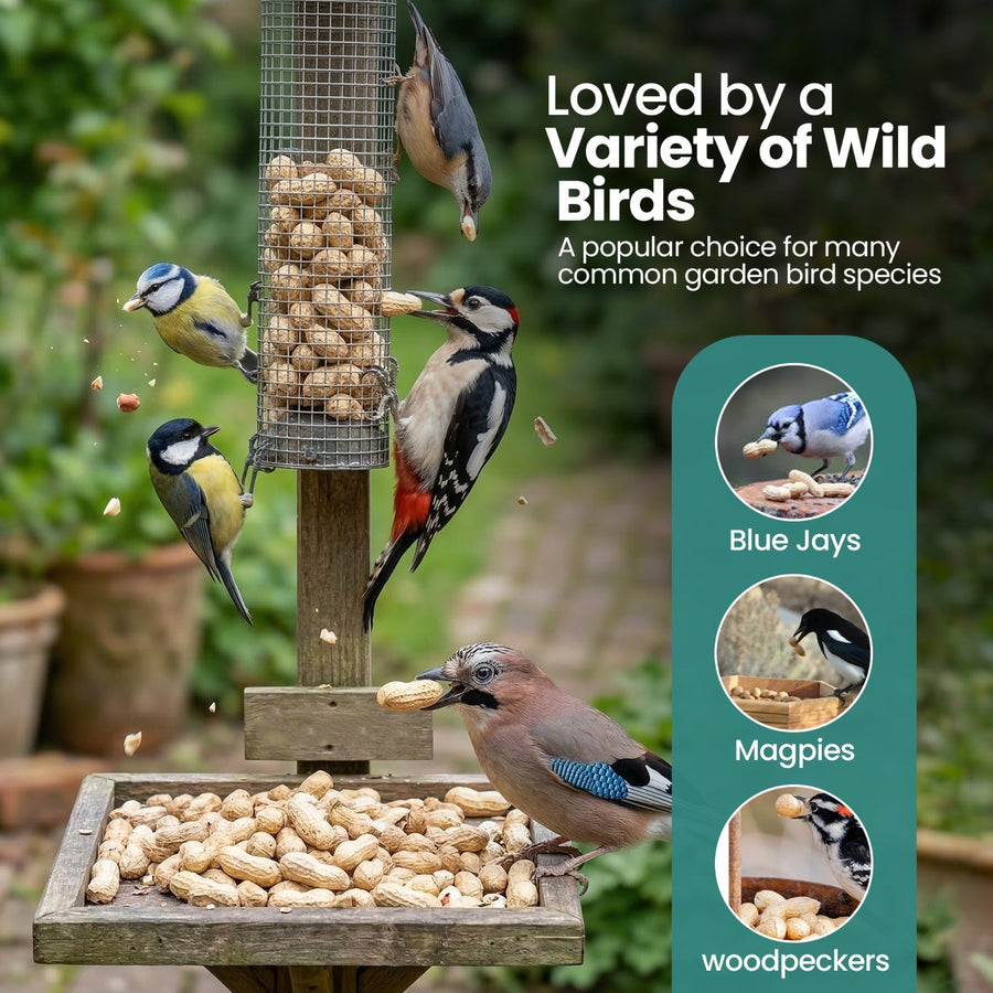 High-Energy Peanuts In Shell For Wild Birds