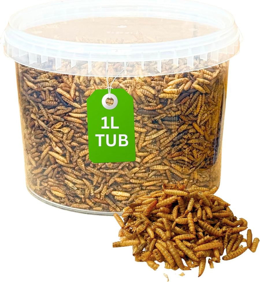 High-Energy Calci Worms for Wild Birds