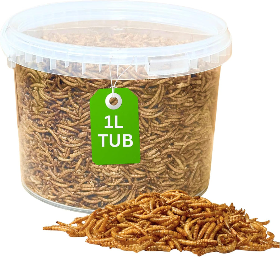 Energy Meal Worms for Wild Birds