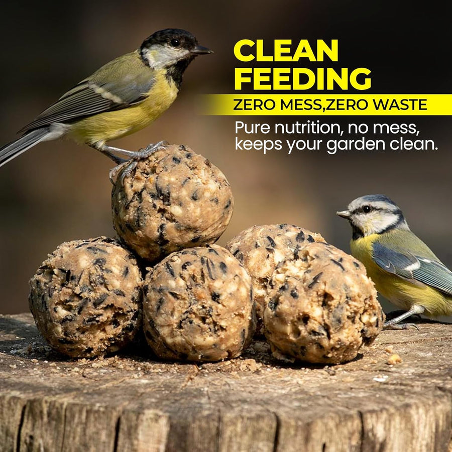 Premium High-Energy Suet Fat Balls for Wild Birds (Value Pack)