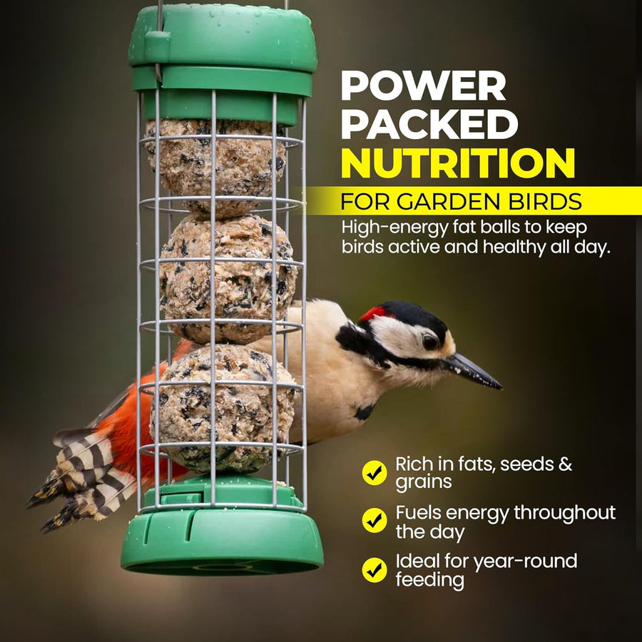 Premium High-Energy Suet Fat Balls for Wild Birds (Value Pack)