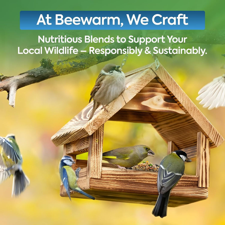 High-Energy Mix Seeds for Wild Birds