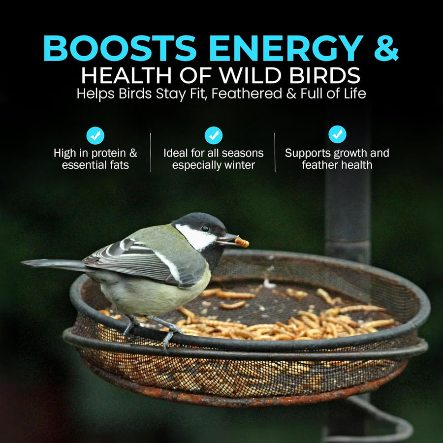 High-Energy Calci Worms for Wild Birds