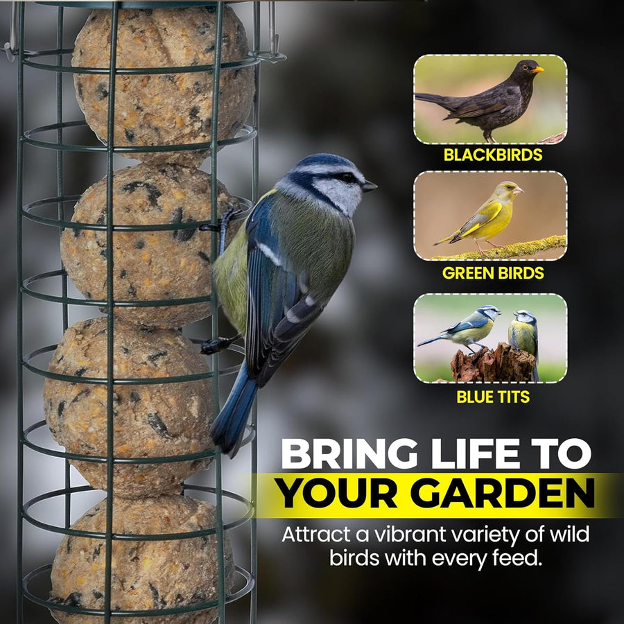 Premium High-Energy Suet Fat Balls for Wild Birds (Value Pack)