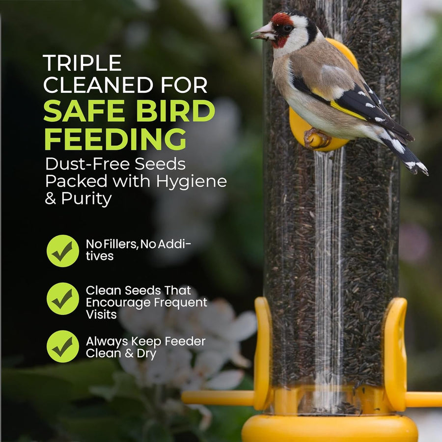 Energy Niger Seeds for Wild Birds