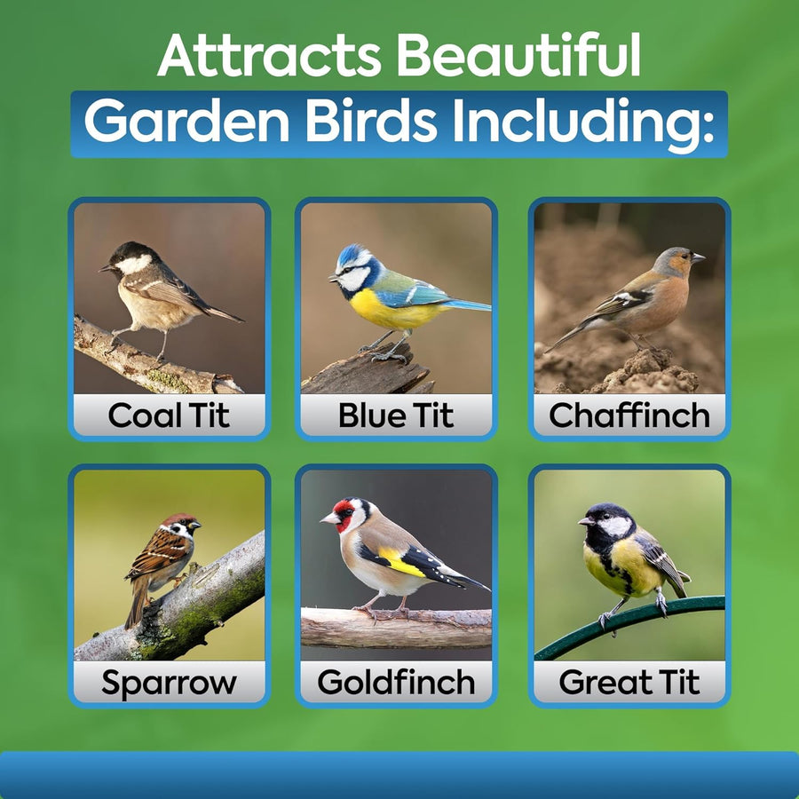 High-Energy Mix Seeds for Wild Birds