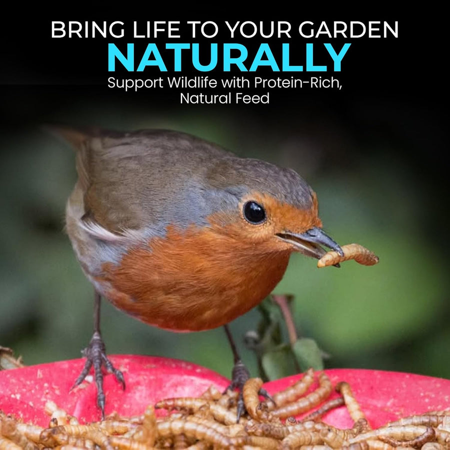 High-Energy Calci Worms for Wild Birds