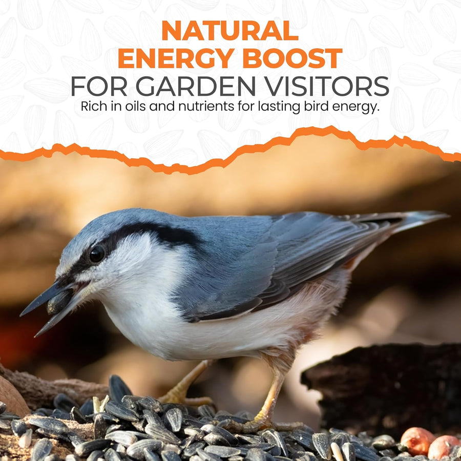 Energy Black Sunflower Seeds for Wild Birds