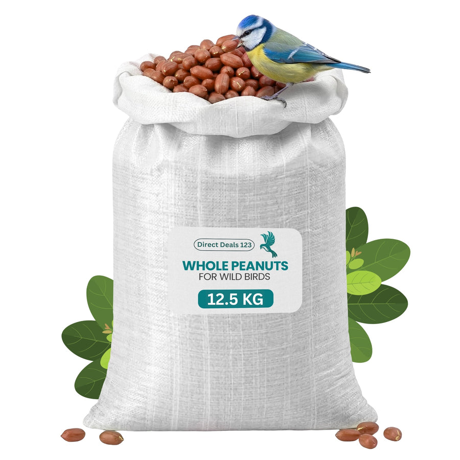 Natural & Energy-Rich Whole Peanuts for Wild Birds