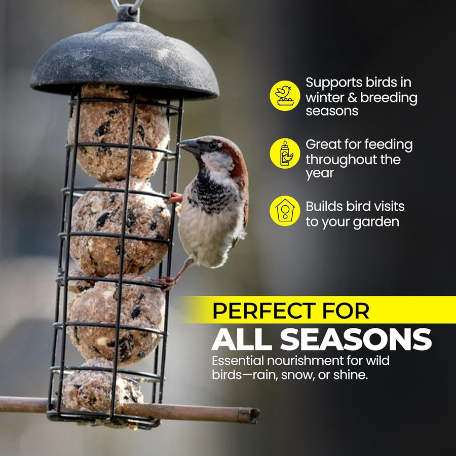 Premium High-Energy Suet Fat Balls for Wild Birds (Value Pack)