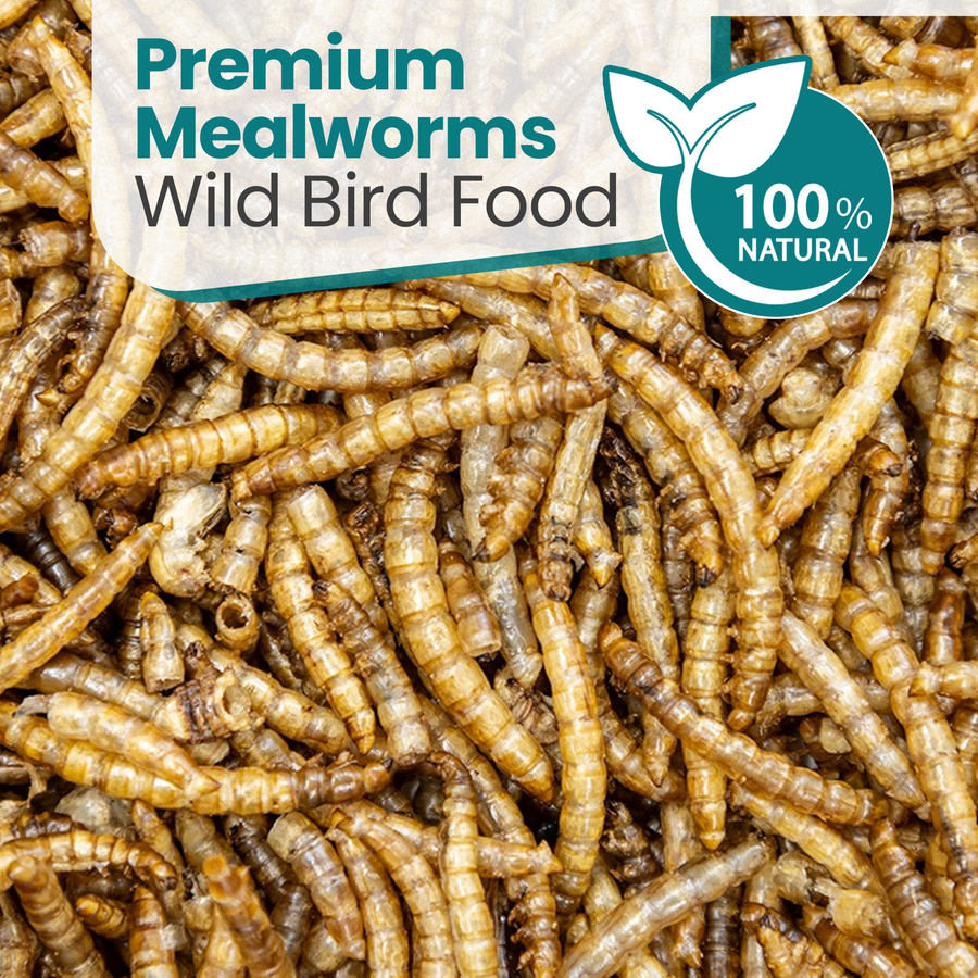 Energy Meal Worms for Wild Birds