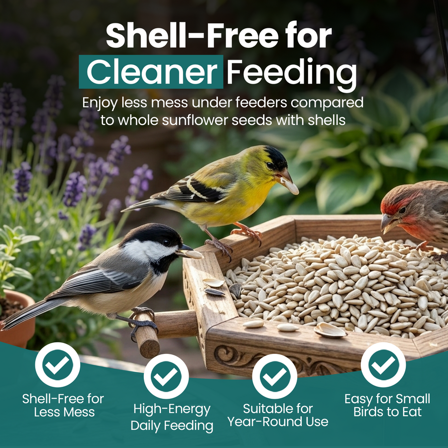 Energy Sunflower Hearts for Wild Birds