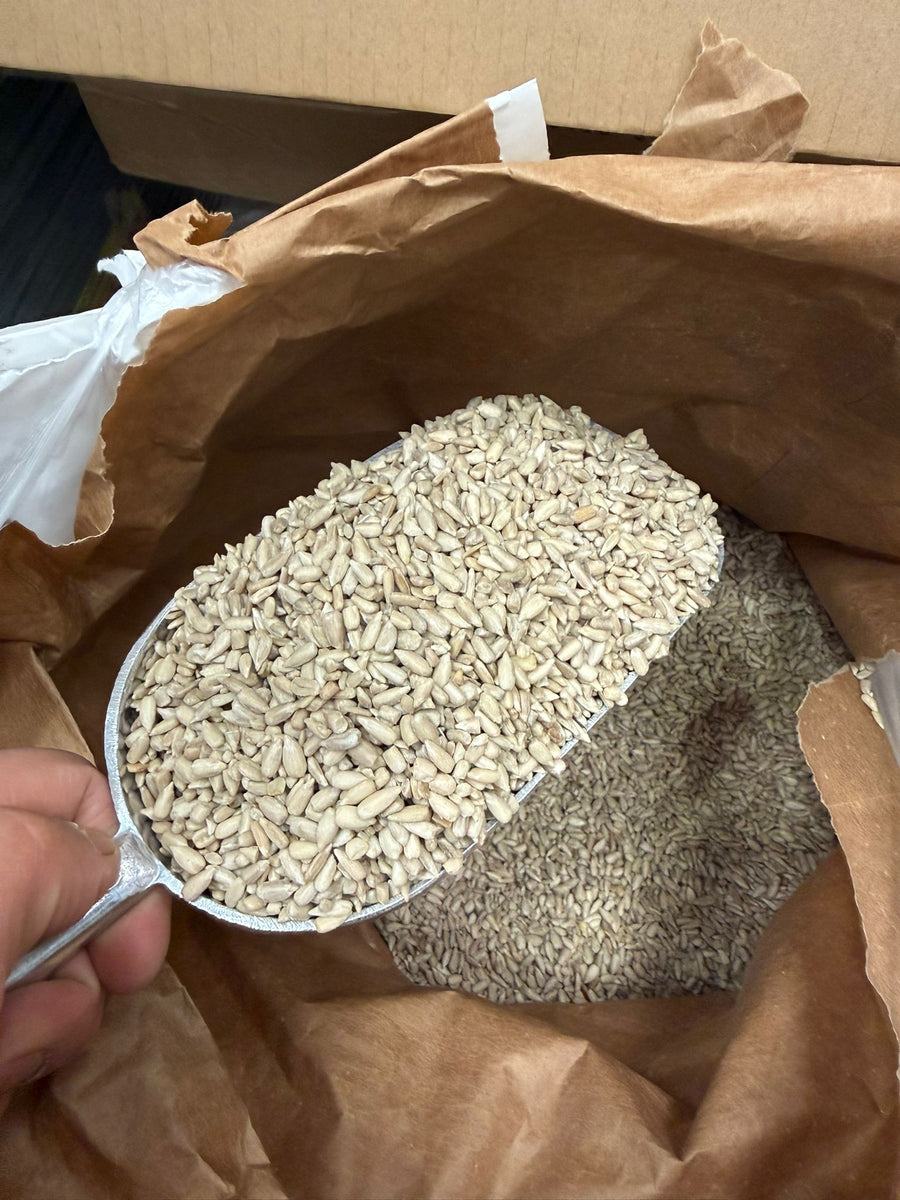 Energy Sunflower Hearts for Wild Birds