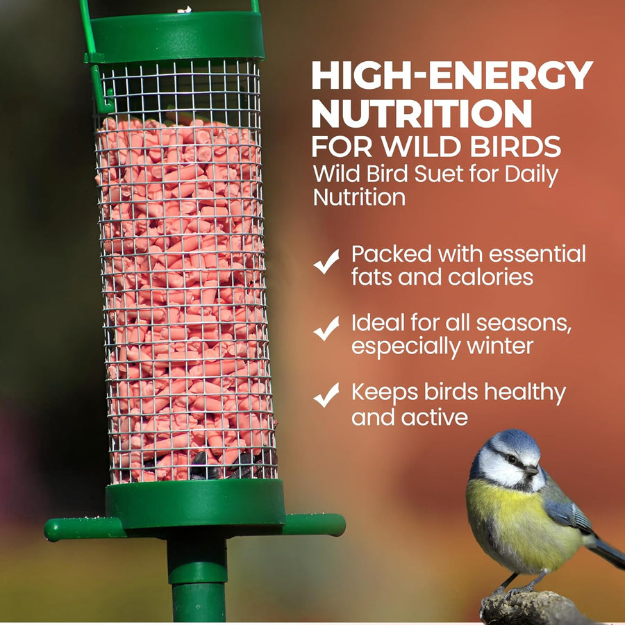 High-Energy Berry Mix Suets for Wild Birds