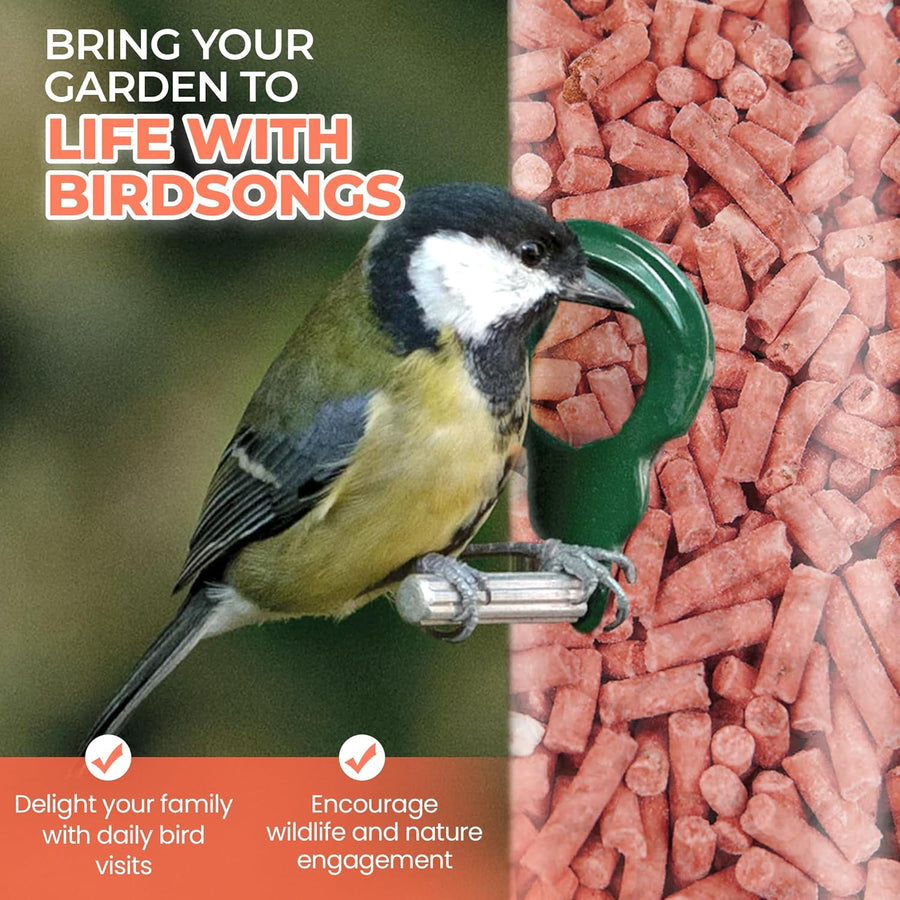 High-Energy Berry Mix Suets for Wild Birds