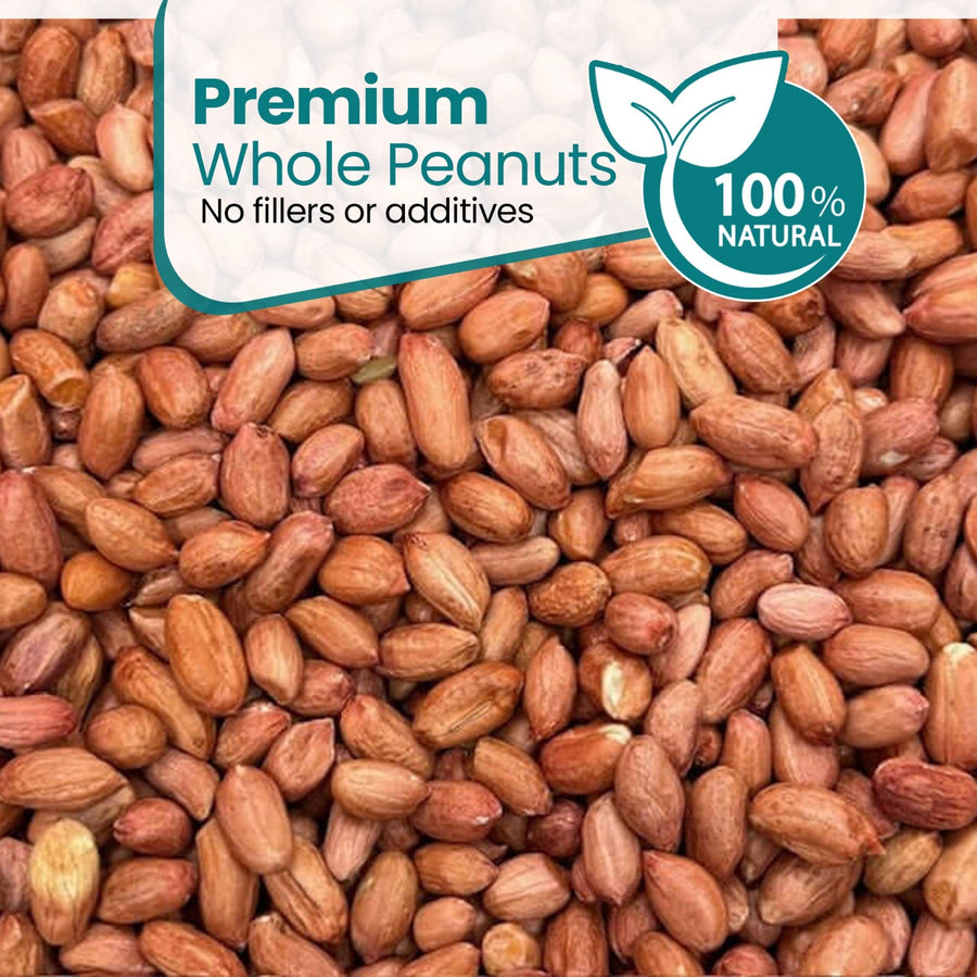 Natural & Energy-Rich Whole Peanuts for Wild Birds
