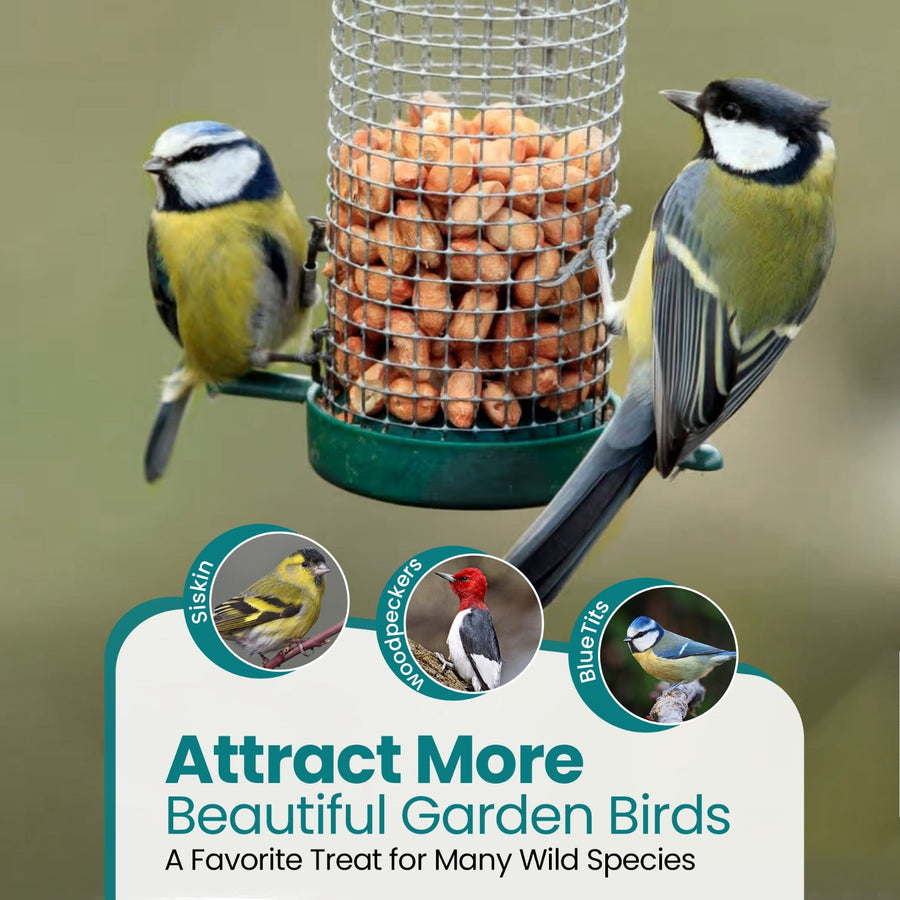 Natural & Energy-Rich Whole Peanuts for Wild Birds