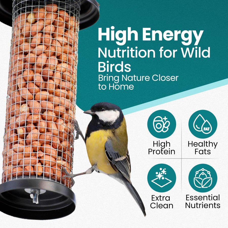 Natural & Energy-Rich Whole Peanuts for Wild Birds