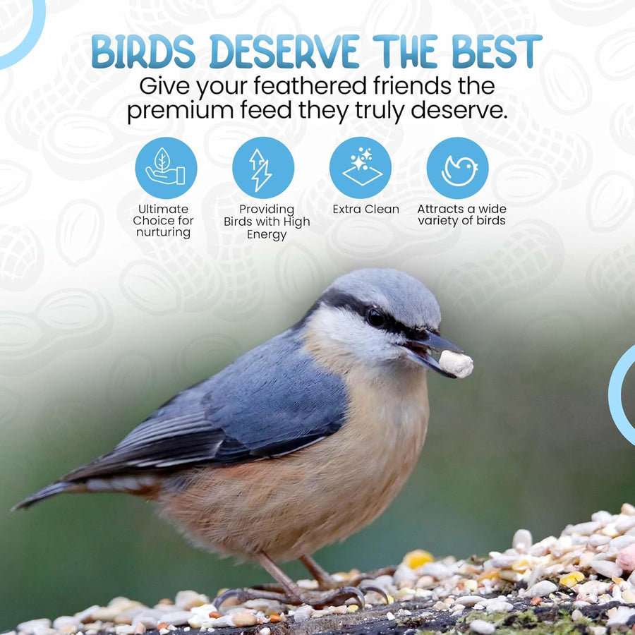 Energy Peanut Granules for Wild Birds