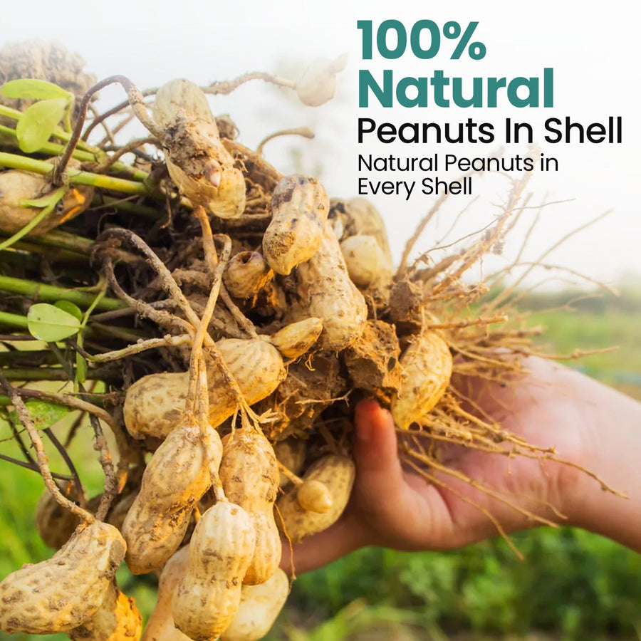 High-Energy Peanuts In Shell For Wild Birds