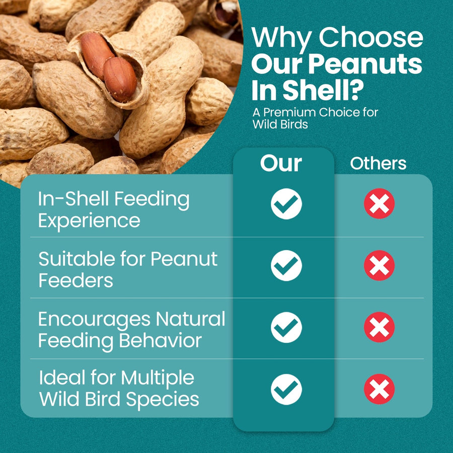 High-Energy Peanuts In Shell For Wild Birds