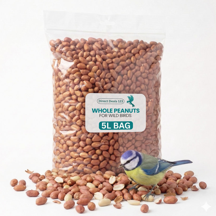 Natural & Energy-Rich Whole Peanuts for Wild Birds