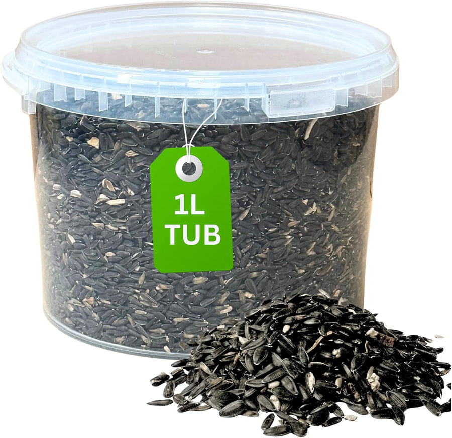 Energy Black Sunflower Seeds for Wild Birds
