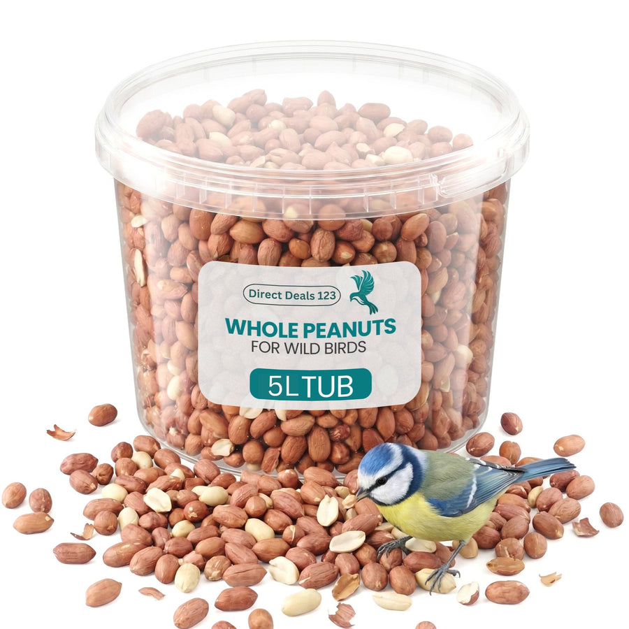 Natural & Energy-Rich Whole Peanuts for Wild Birds