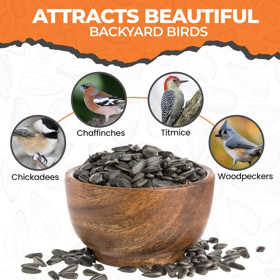 Energy Black Sunflower Seeds for Wild Birds