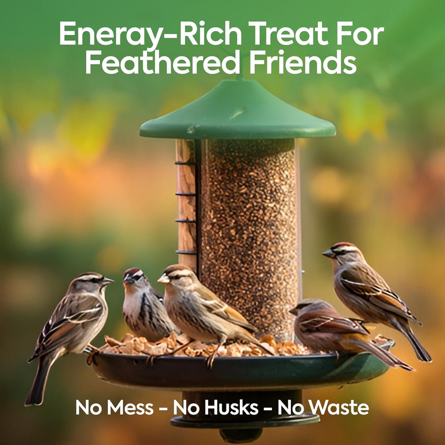 High-Energy Mix Seeds for Wild Birds