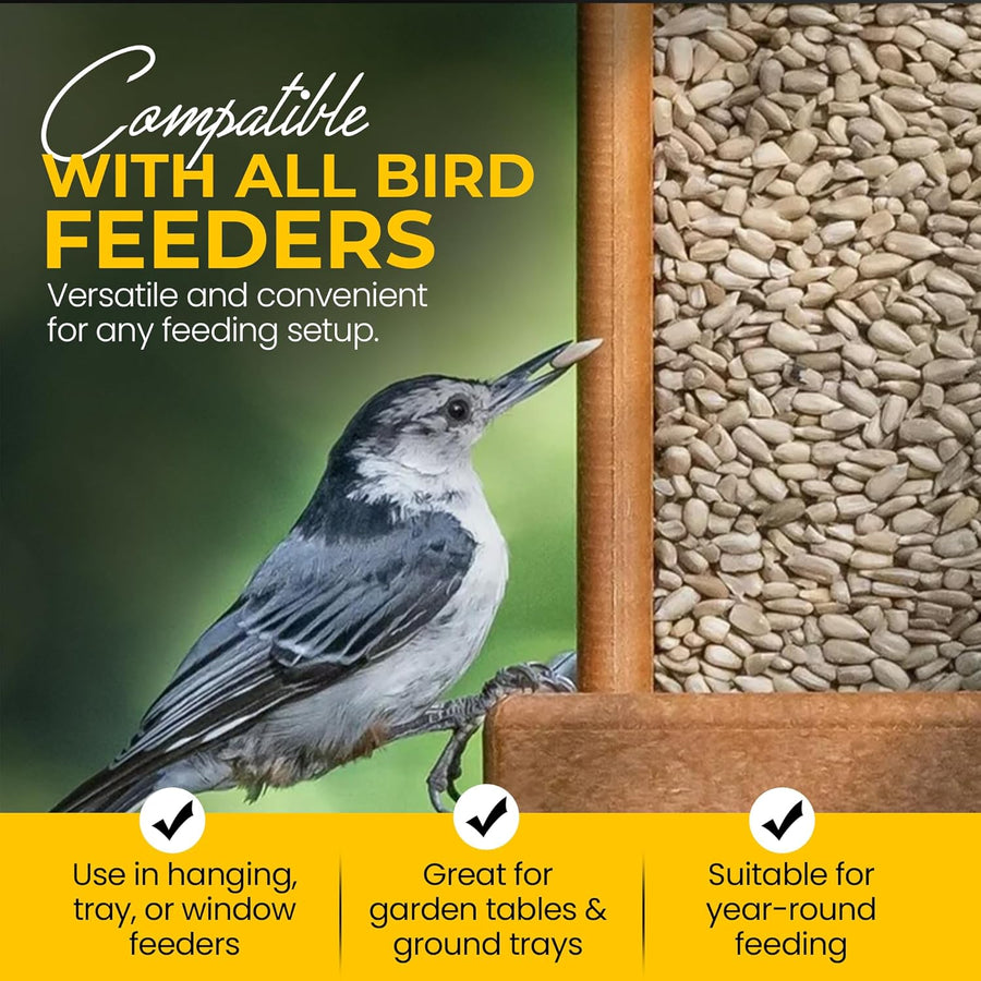 Energy Sunflower Hearts for Wild Birds