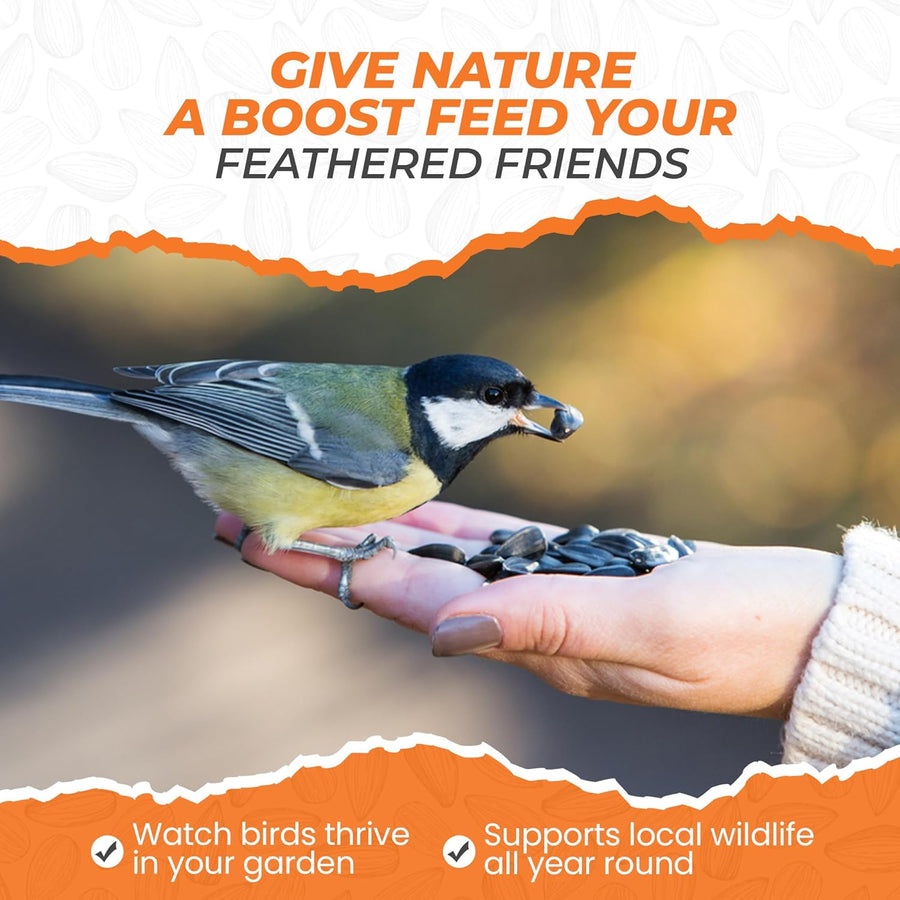 Energy Black Sunflower Seeds for Wild Birds
