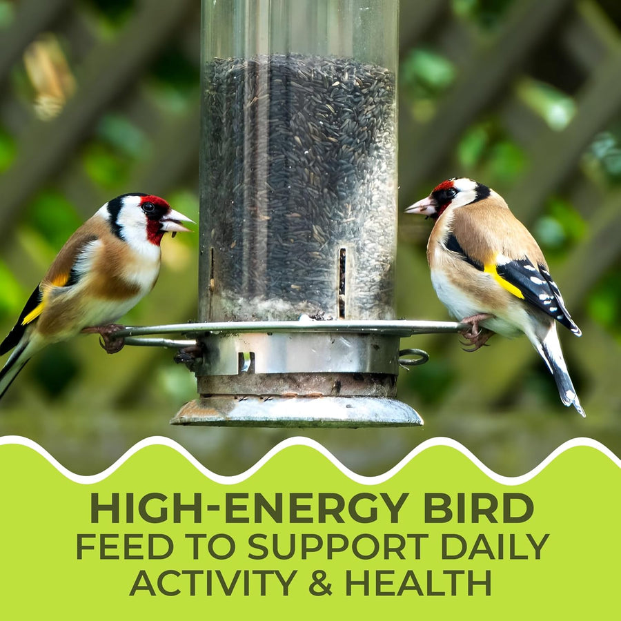 Energy Niger Seeds for Wild Birds