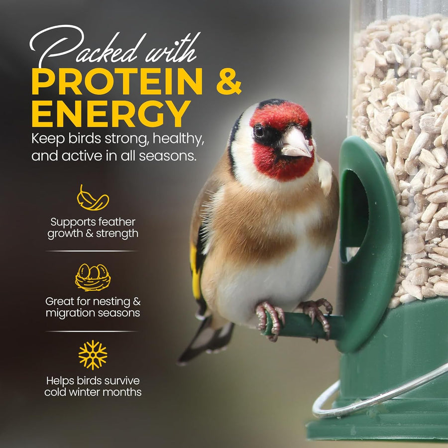 Energy Sunflower Hearts for Wild Birds
