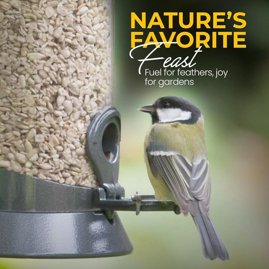 Energy Sunflower Hearts for Wild Birds