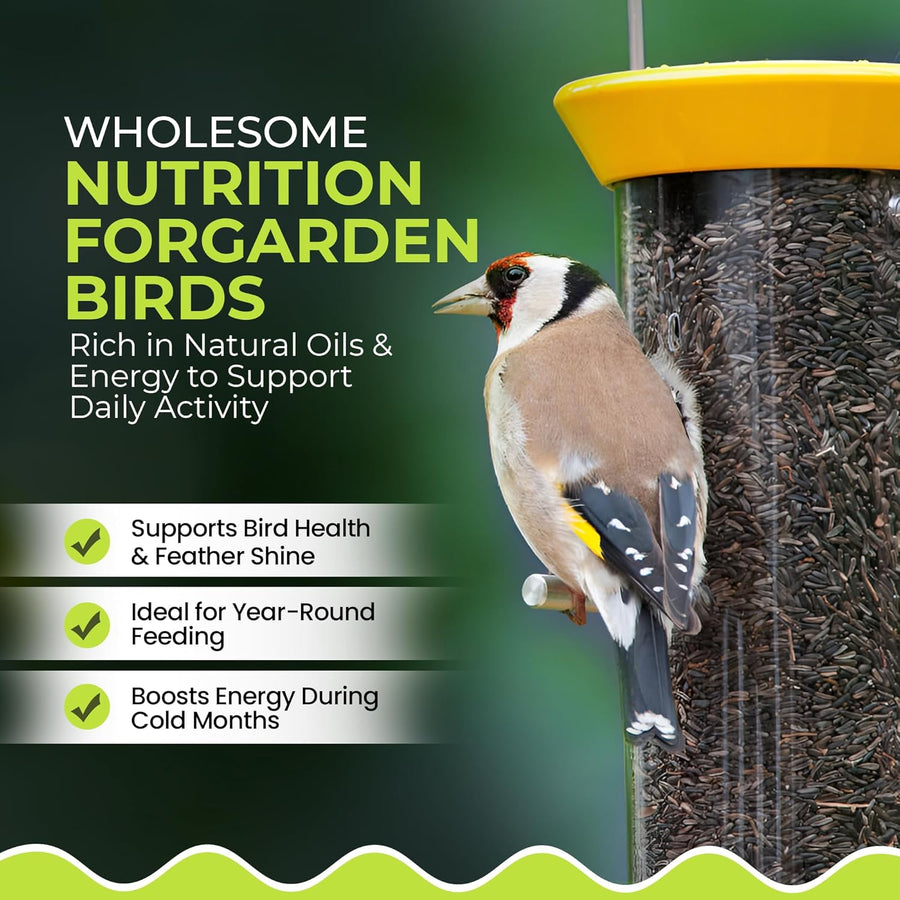 Energy Niger Seeds for Wild Birds