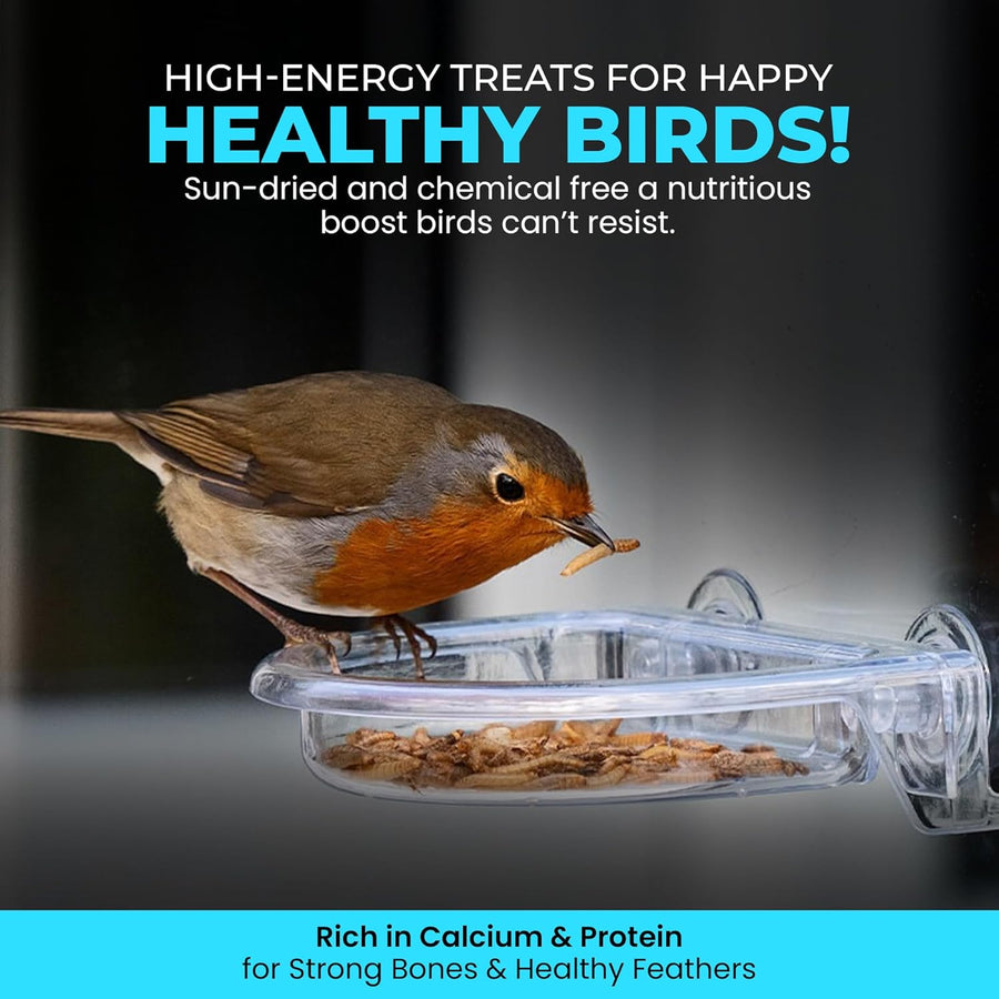 High-Energy Calci Worms for Wild Birds