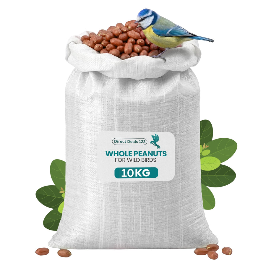 Natural & Energy-Rich Whole Peanuts for Wild Birds