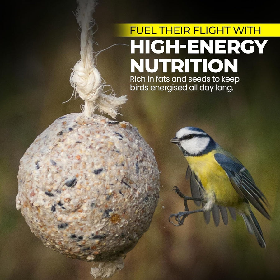 Premium High-Energy Suet Fat Balls for Wild Birds (Value Pack)