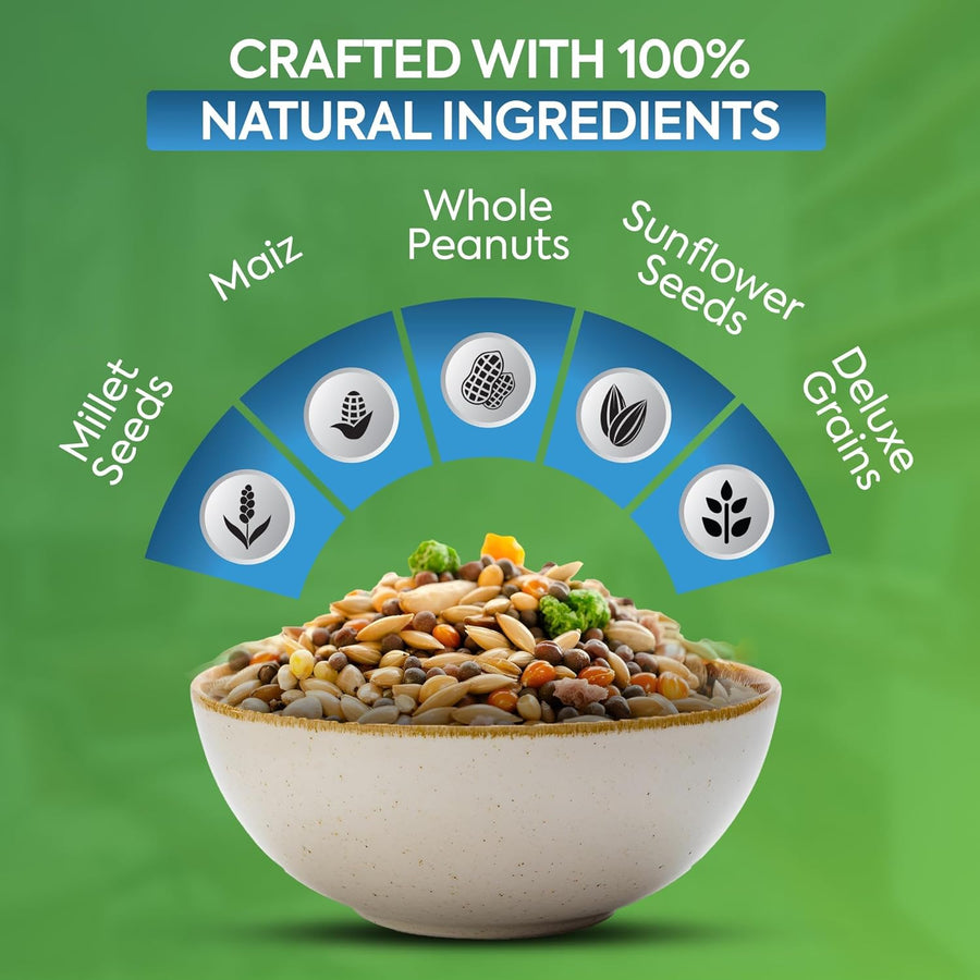 High-Energy Mix Seeds for Wild Birds