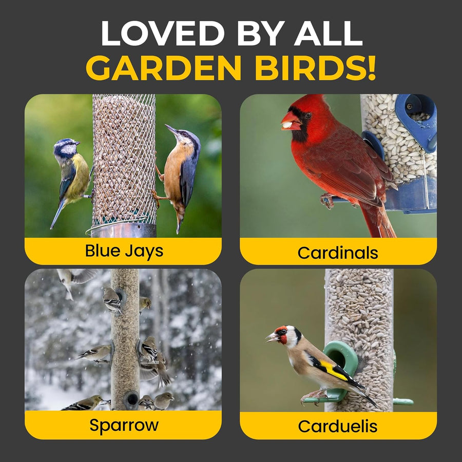 Energy Sunflower Hearts for Wild Birds