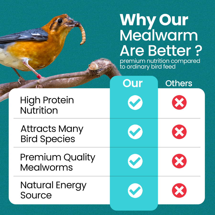 Energy Meal Worms for Wild Birds