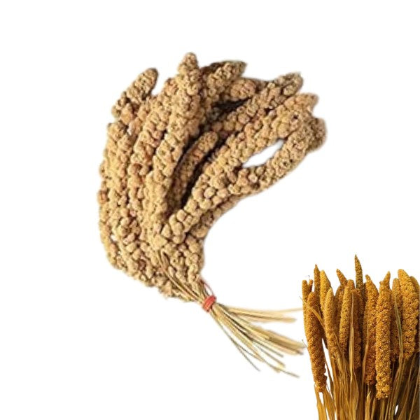 Premium Natural Millet Sprays for Wild Birds