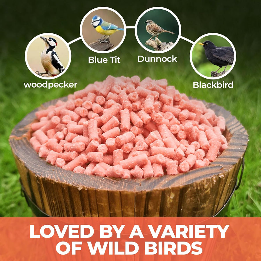 High-Energy Berry Mix Suets for Wild Birds