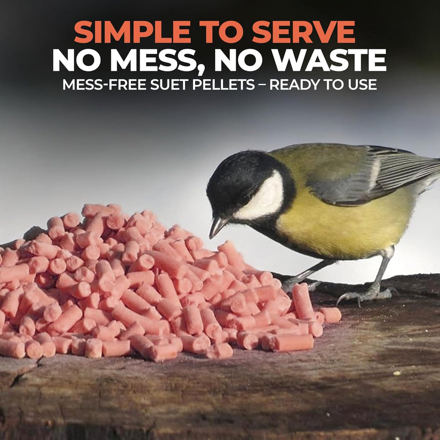 High-Energy Berry Mix Suets for Wild Birds