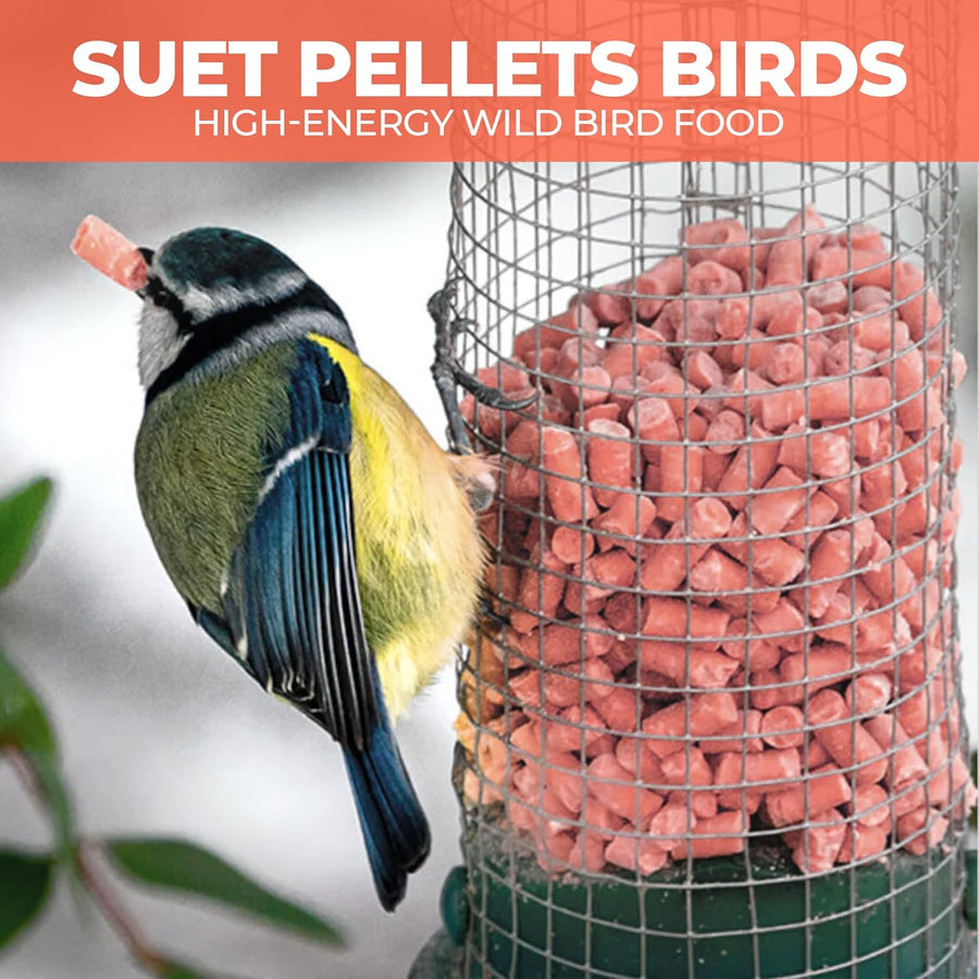 High-Energy Berry Mix Suets for Wild Birds